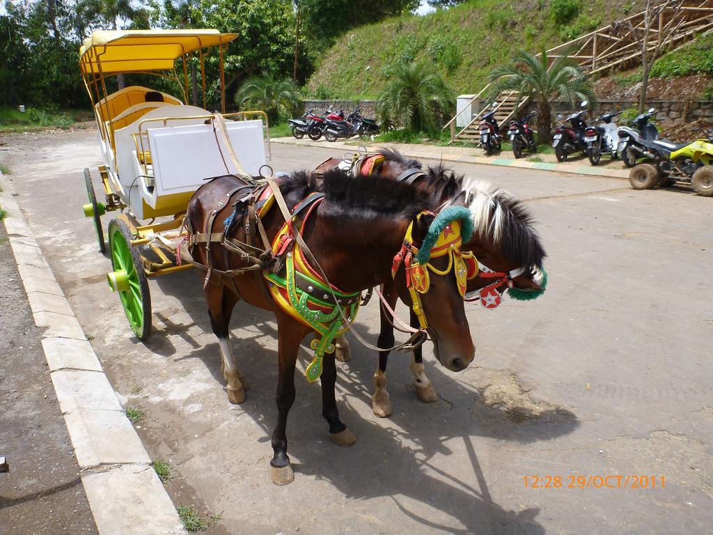 Homestay Triniti เล็มบัง ภายนอก รูปภาพ